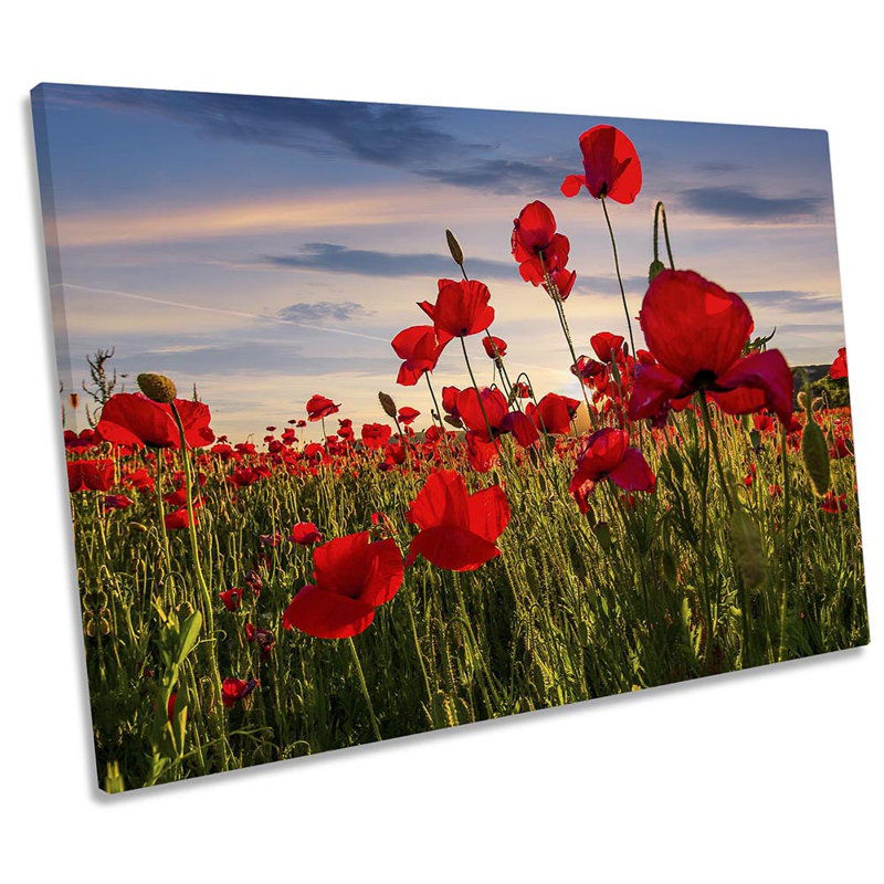 Poppy Flower Field Floral - Wrapped Canvas Print, 61cm H x 91.4cm W  x 4cm D