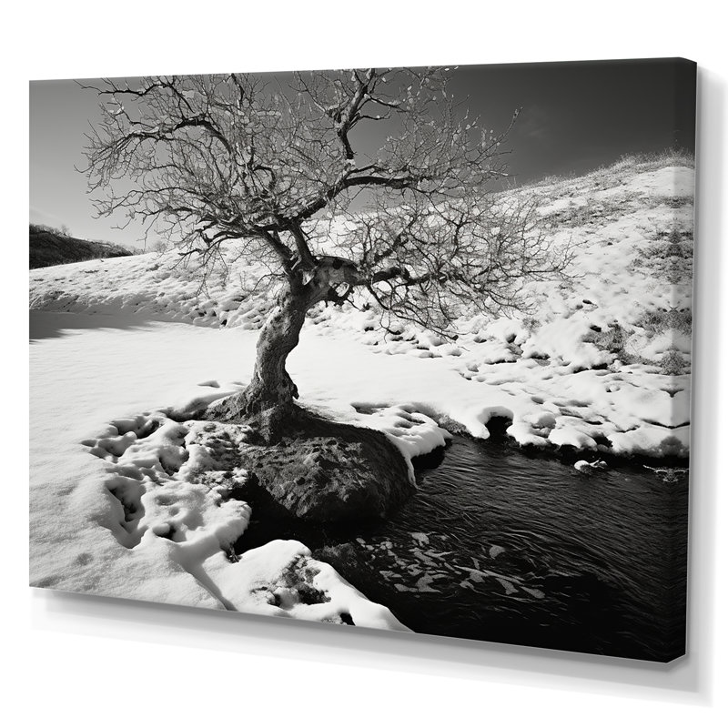 Arbre de solitude noir et blanc en hiver - Paysage d'hiver, art mural salon, H 12 po x l 20 po x P 1 po, Toile tendue