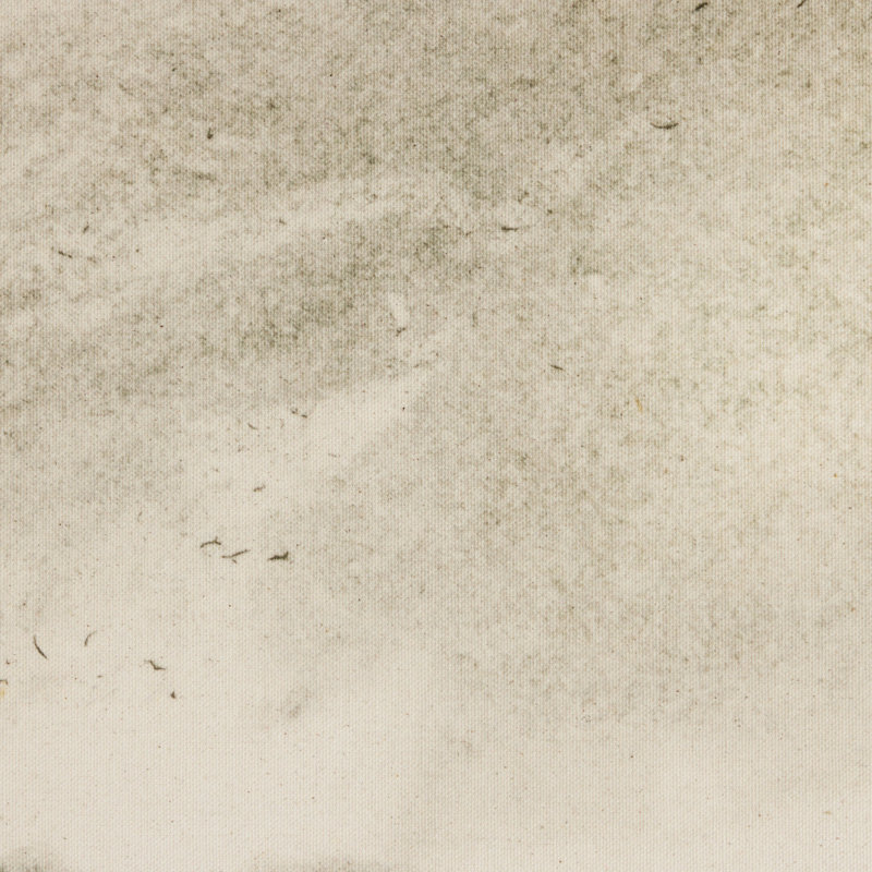 Meadow by Dan Hobday, 24'' H x 32'' W
