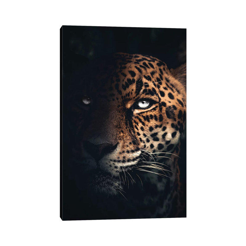 The Jaguar by Zenja Gammer - Print on Canvas, Wrapped Canvas, 20.32 cm H x 30.48 cm W