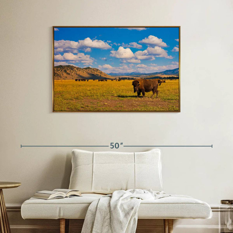 Bison dans le parc national, Cadre flottant doré, 40 po x 27 po