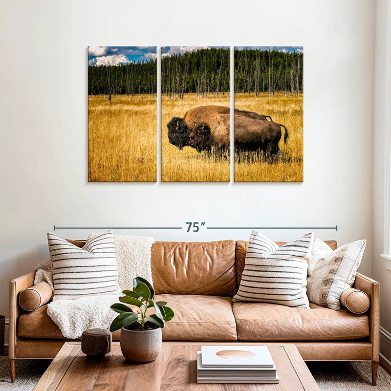 Brampt Bison In Summer, 36" H x 57" W