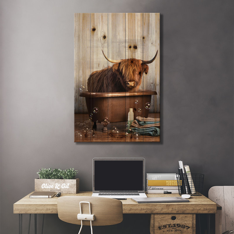 Vache Highland dans la baignoire, L 26 po x H 40 po