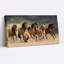 Ensemble de 1 tableau sur toile représentant des chevaux galopant dans le désert-1284828252