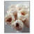 White Floater Frame