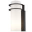 Applique murale d'extérieur en verre givré Sandridge-24010303-24010301