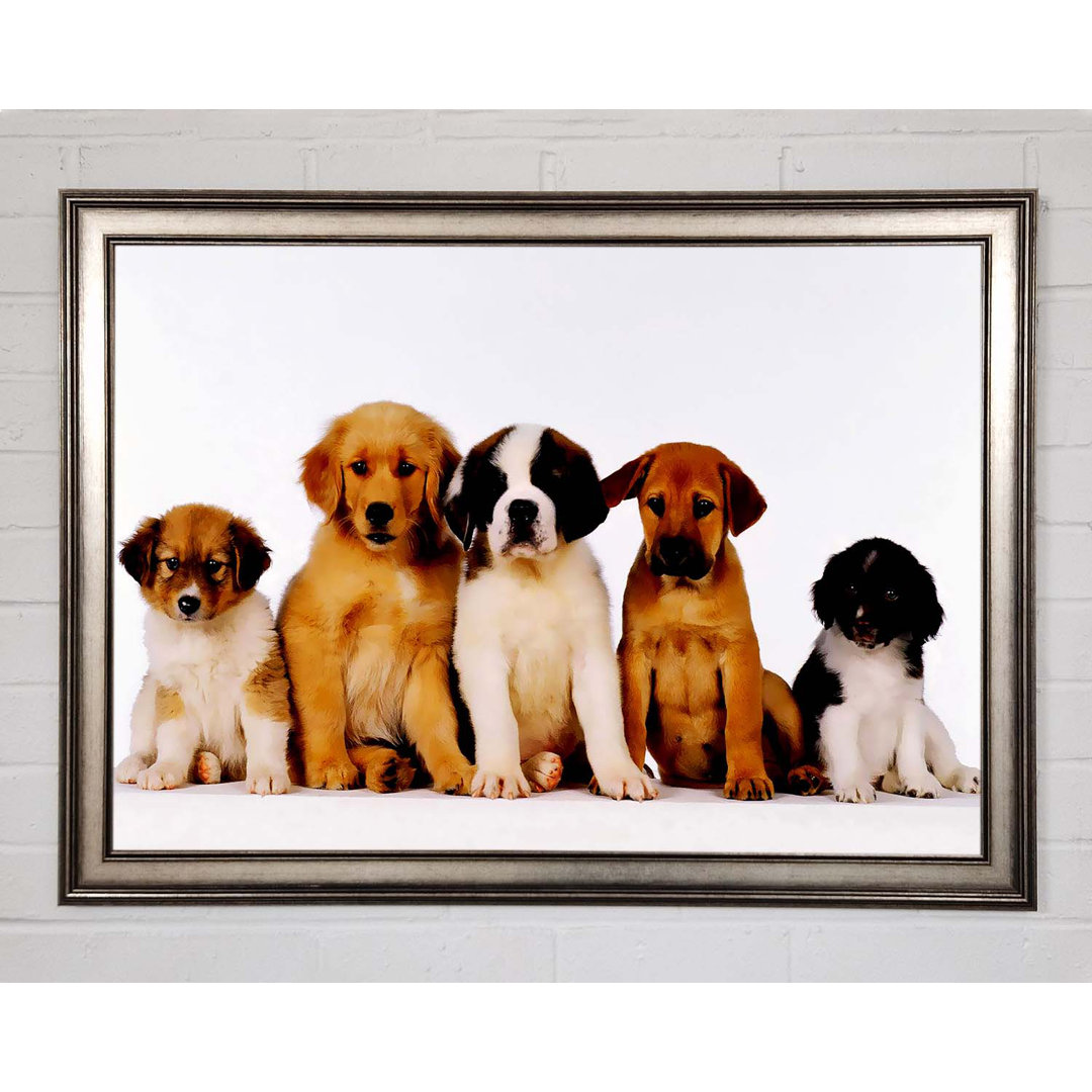 Hund Familie Gerahmter Druck Wandkunst