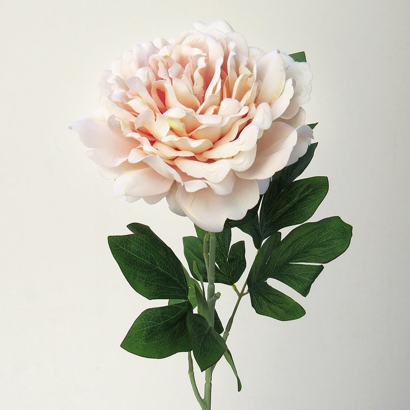 Grande tige de pivoine en velours, Pêche