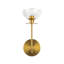 Blakehurst Single Transparent Bath Sconce-95320056
