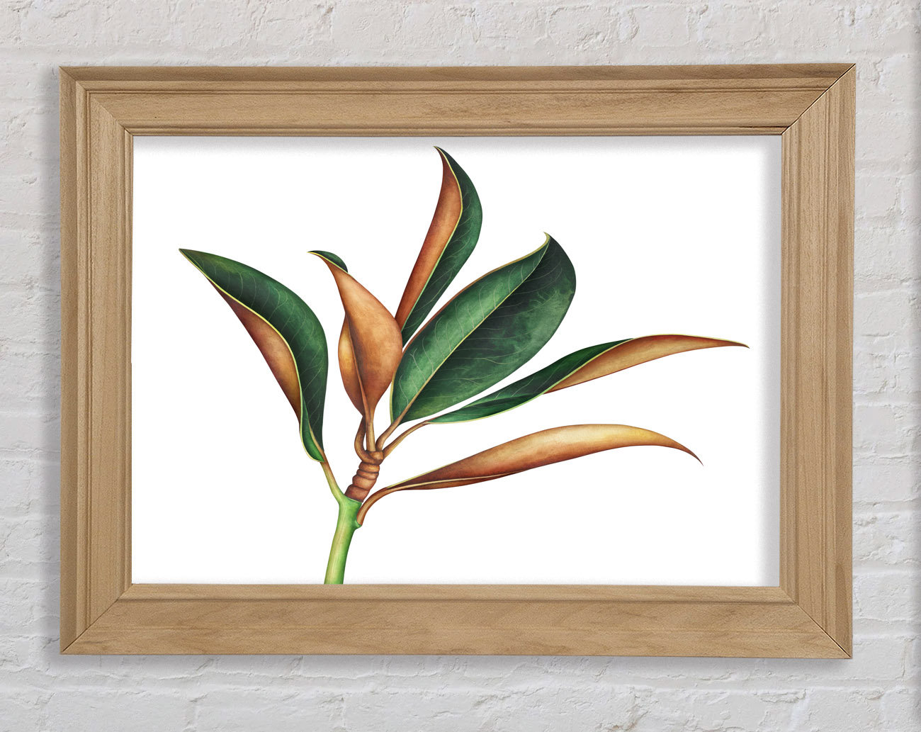 Wand Pflanzenhalter Metall - Bilderrahmen Regal Für Zimmerpflanzen 40x30cm