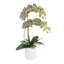 Double Orchid Arrangement-248080728