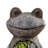18.3-Inch Decorative Polyresin Frog Figurine – Cement-Look Garden Statue with Faux Colorful Succulent Interior