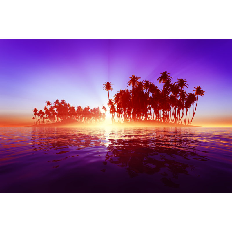 Coconut Island - Wrapped Canvas Print, 81cm H x 122cm W
