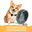 Bol pour chien 7,5 po en marbre naturel-115997571-115997567