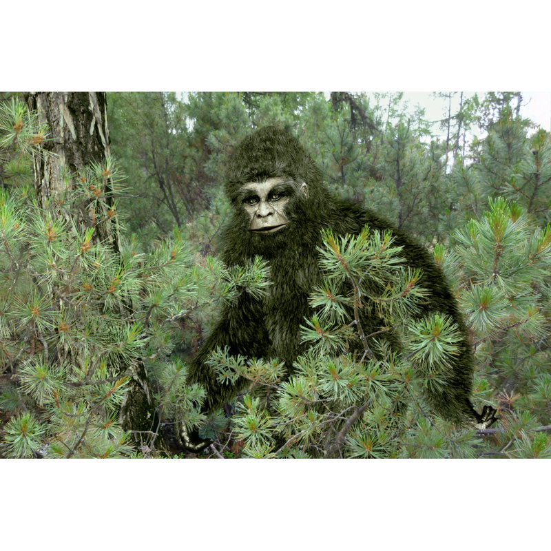 Bigfoot, yéti - impression sur toile tendue, H 8 po x l 12 po