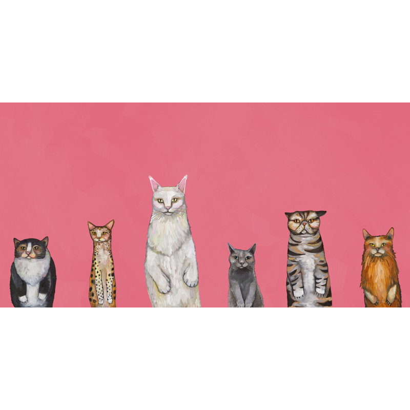 «Cats Cats Cats - Pink» par Eli Halpin - impression sur toile tendue, H 24 po x l 48 po