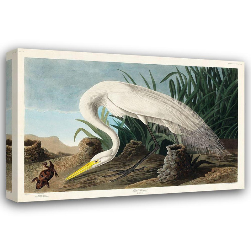 Charlton Home® Audubon, John James Art sur toile tendue, White Heron