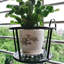 Planter Pot Planter