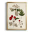 Feuilles et baies III-88435407-88435406