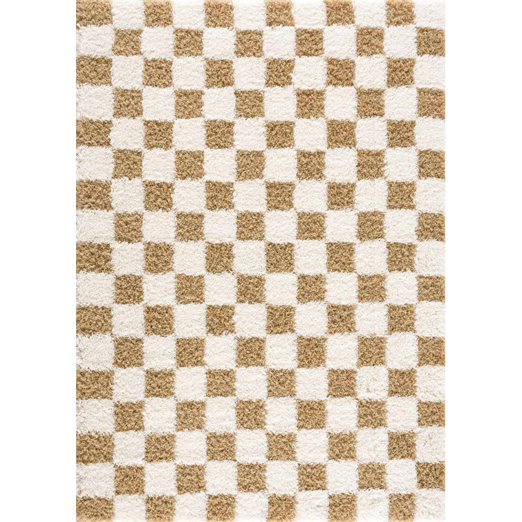 https://assets.wfcdn.com/im/72622260/resize-h755-w755%5Ecompr-r85/2440/244019779/Atiran+Checkered+Plush+Pile+Brown+Area+Rug.jpg