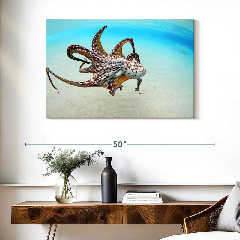Brampt Wild Ocean Octopus, 26" H x 39" W