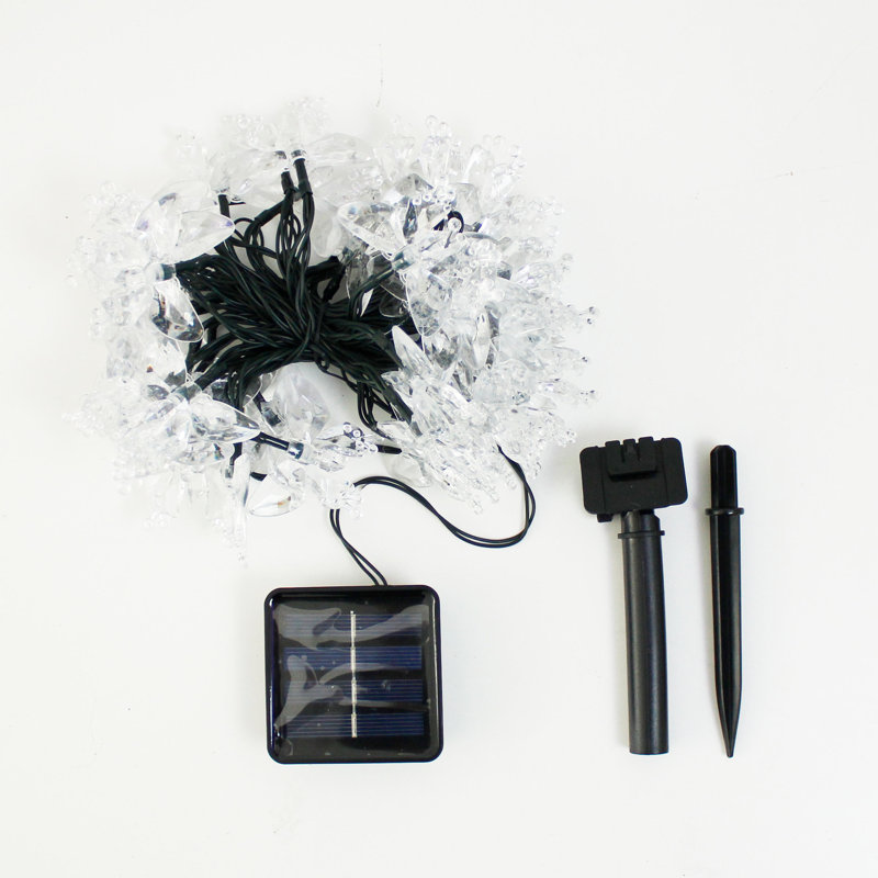 Ellie-Anne Indoor 50 - Bulb 295'' Solar Powered LED Novelty String Light, Warm White