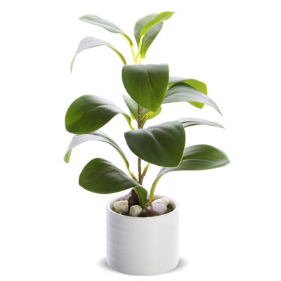 25cm Faux Evergreen Plant in Pot