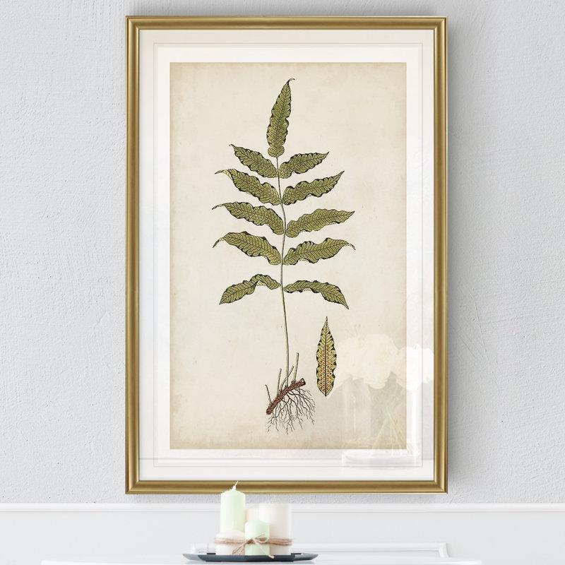 « palm botanique iii »-impression sur toile, H 18,5 po x l 24,5 po x P 1,5 po, Cadre doré