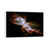 White Floater Framed