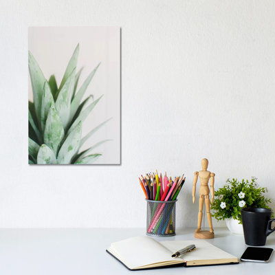 Pineapple Top I by Chelsea Victoria - Wrapped Canvas Print