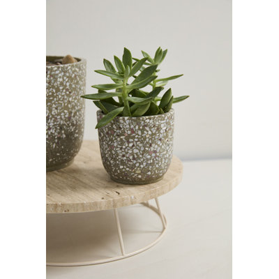 Pot Verde 4,5 po x 4 po