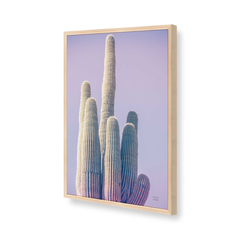 «Saguaro Purple Pastel» par Nathan Larson, reproduction d'art, Brun clair, H 48 po x l 32 po