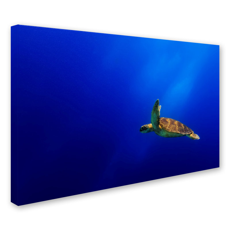 Art mural sur toile tendue - Mato P. «Flying», art mural pour salon, chambre à coucher ou bureau - 30 x 47, H 30 po x l 47 po