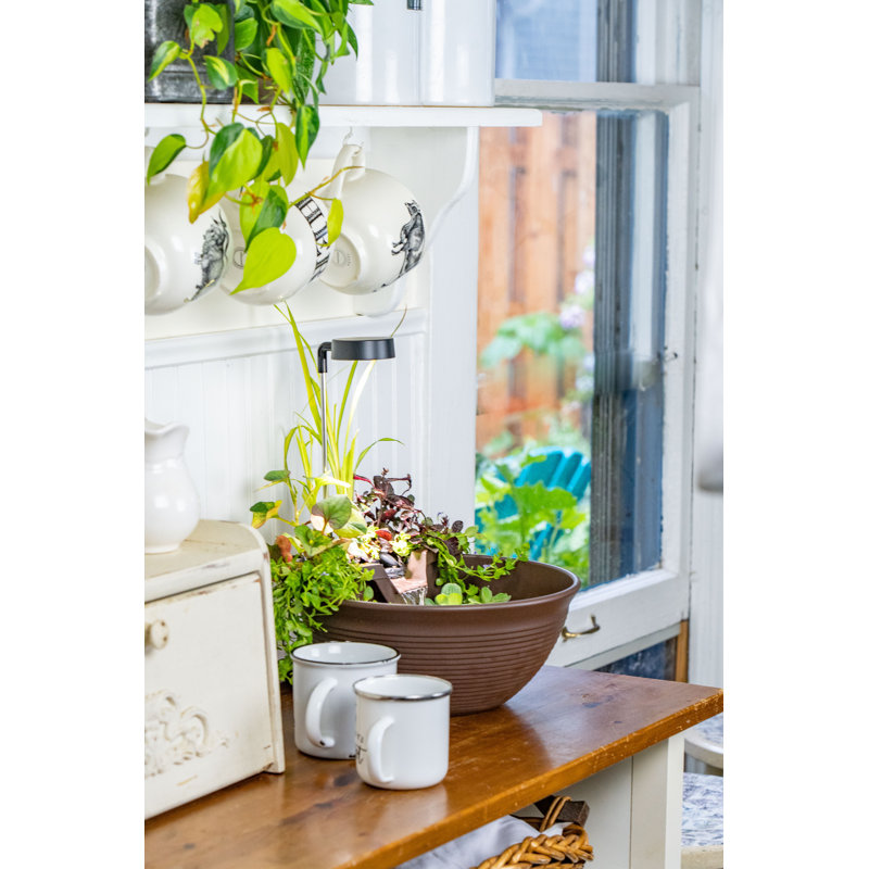 Mocha Tabletop Fountain Kit with LED Light and Waterfall