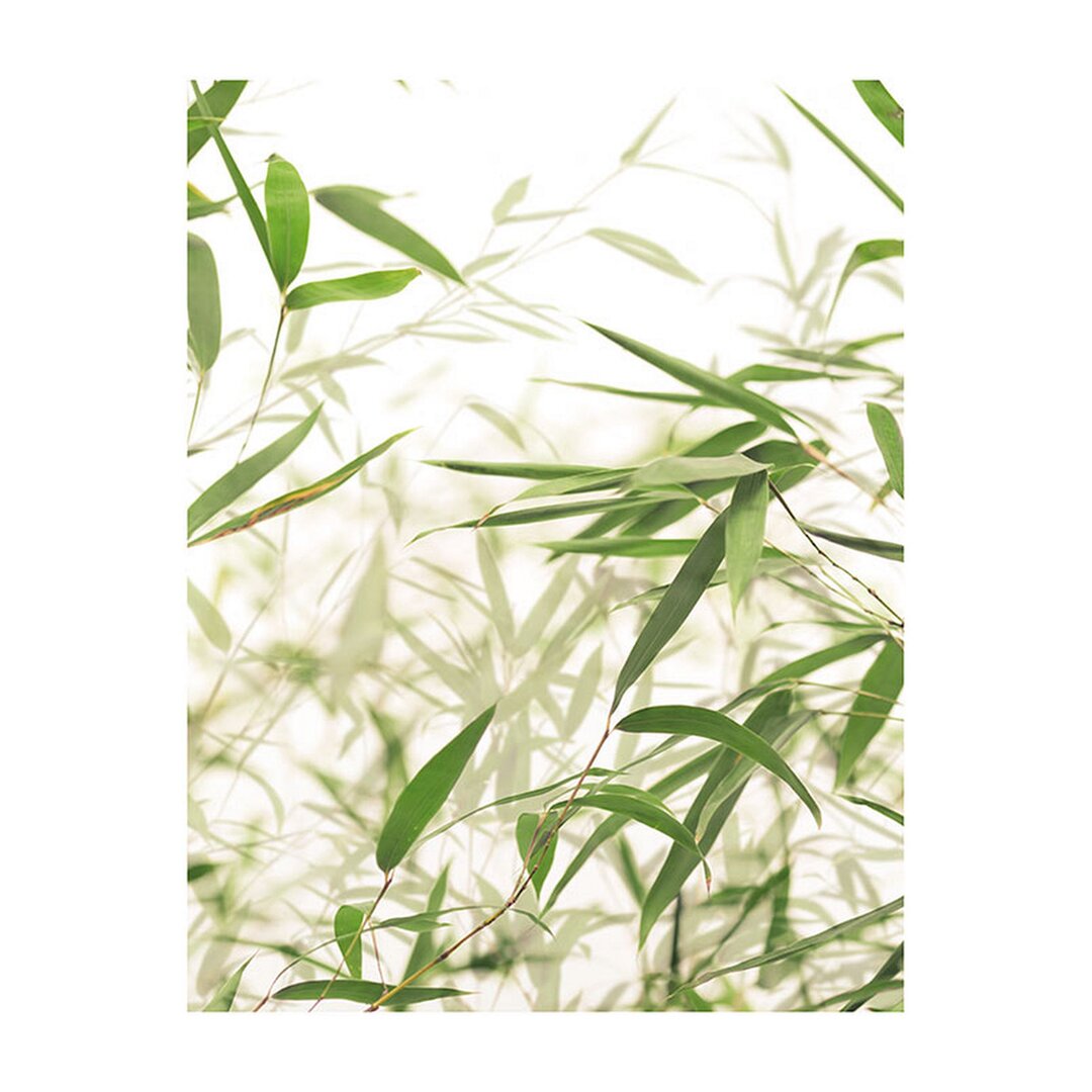 Poster Bamboo Leaves