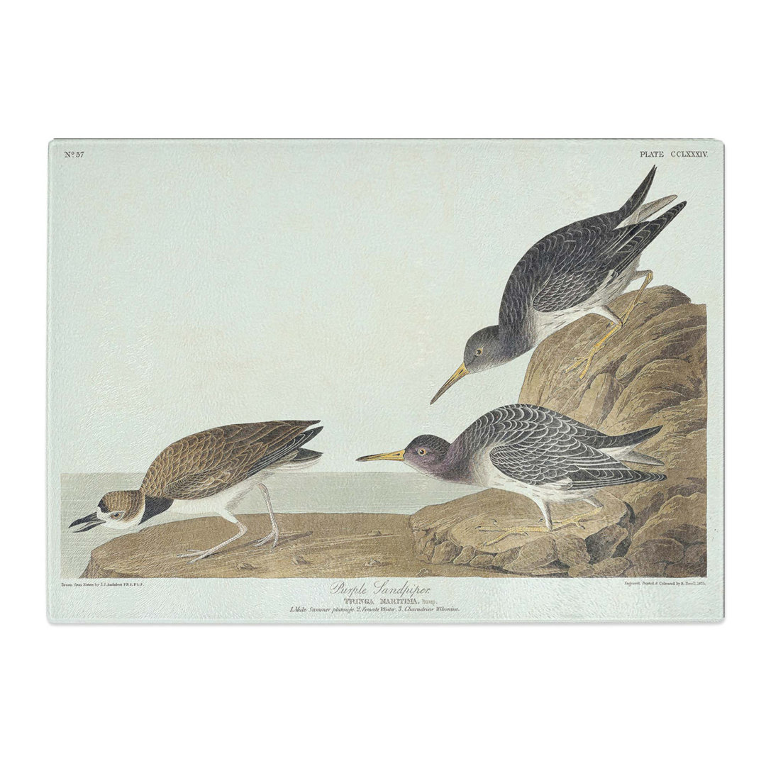 Tempered Glass Purple Sandpiper Birds by John James Audubon Chopping Board