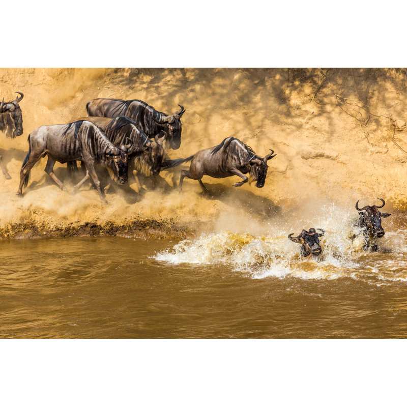 Wildebeest Migration In Kenya by 1001slide - Wrapped Canvas Print, 61cm H x 91cm W x 3.8cm D