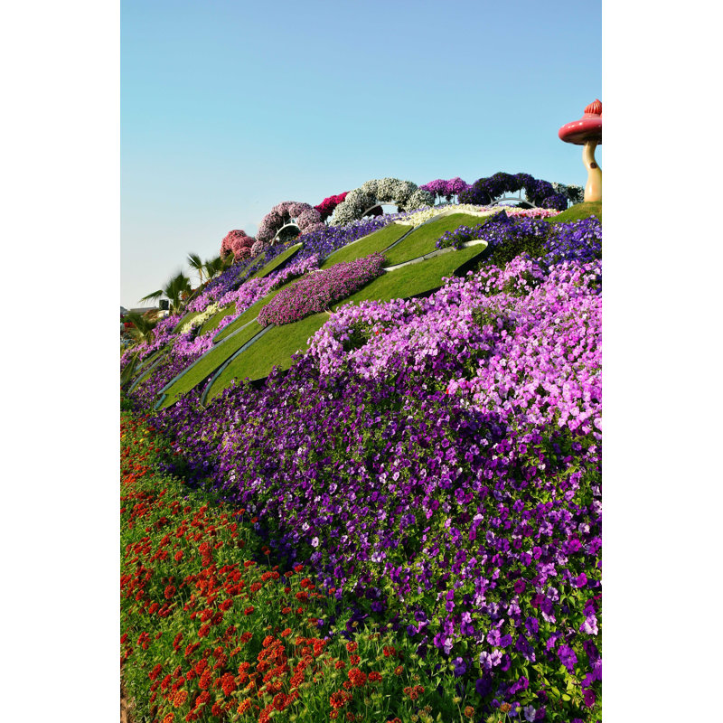 Jardin miraculeux de Dubaï, ÉAU - Photographie sur toile tendue, H 18 po x l 12 po