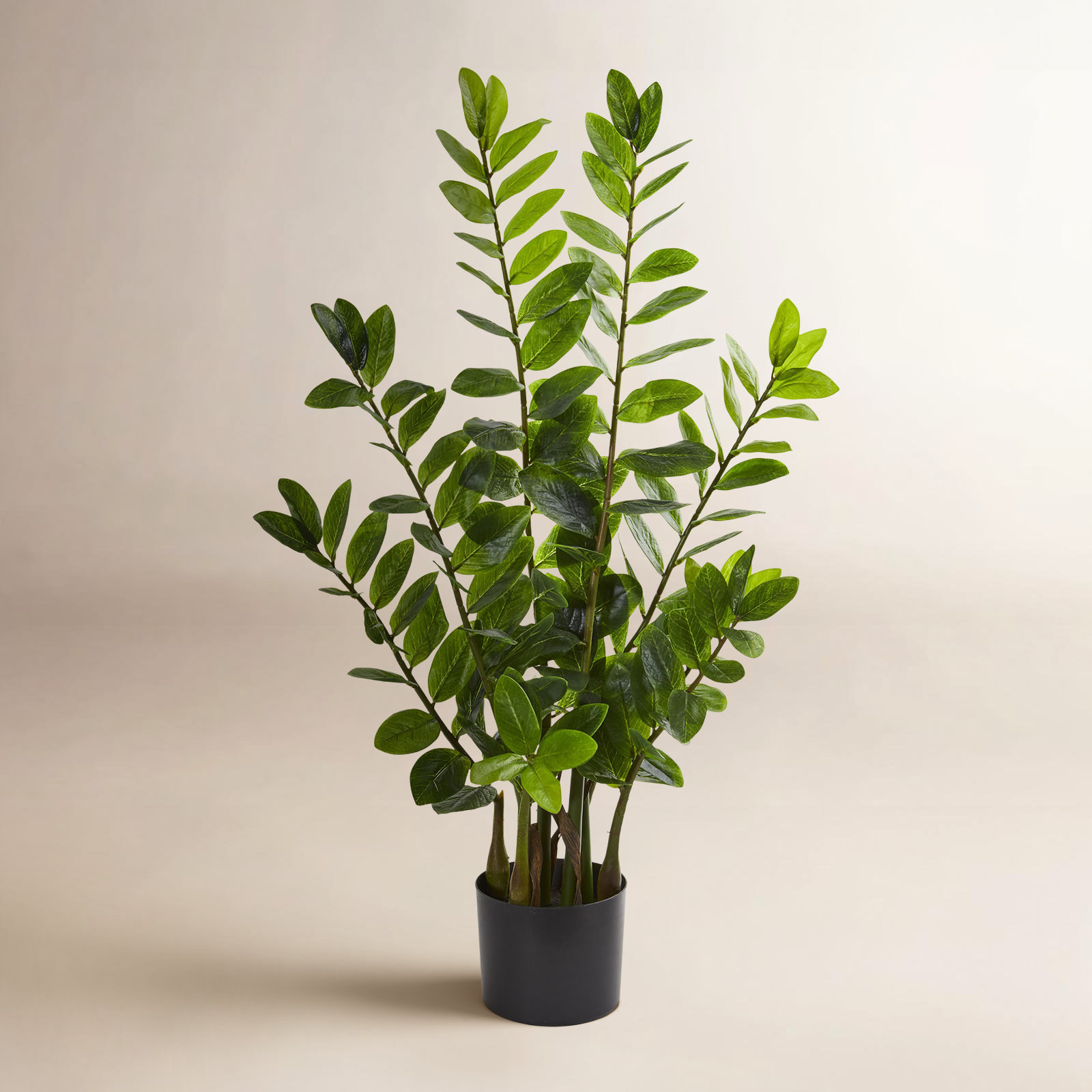 Faux ZZ Plant in Pot, 36" H x 20" W x 12" D