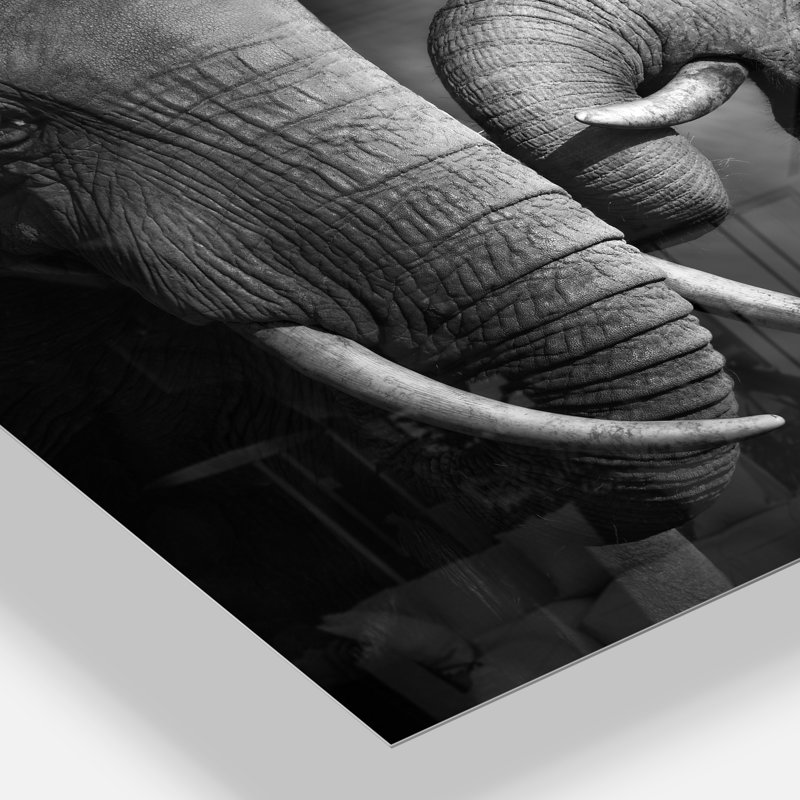 Éléphants montrant l'affection - impression d'art graphique, Métal métal, H 34 po x l 44 po
