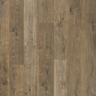 Pergo Xtra 7"" x 47"" x 12mm Laminate Flooring -  LPE05-LF032