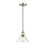 Luminaire suspendu conique à 1 lumière Weatherford-663876212-660949724-660949723