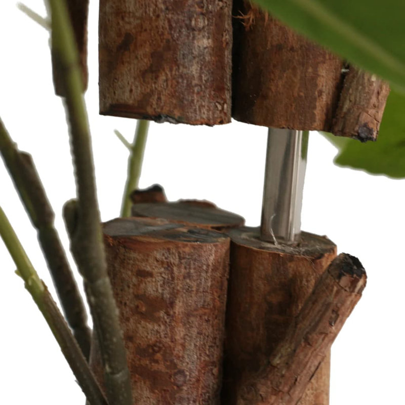  Polypropylène artificiel vert, bois d'eucalyptus