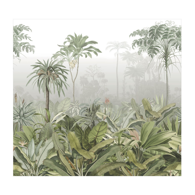 Dematteo 3m x 2.8m Matte Wall Mural