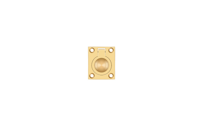 Ring Pull, PVD Polished Brass