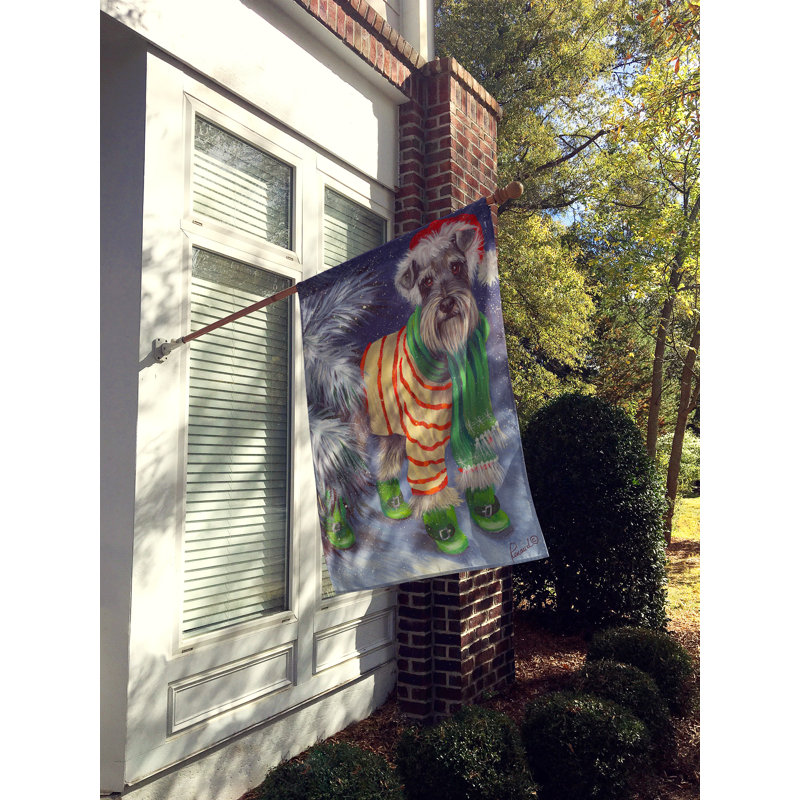 Drapeau de maison Hvidovre Sheltie Halloween en polyester à 2 faces 3 x 2 pi, Schnauzer avec bottes vertes - Noël