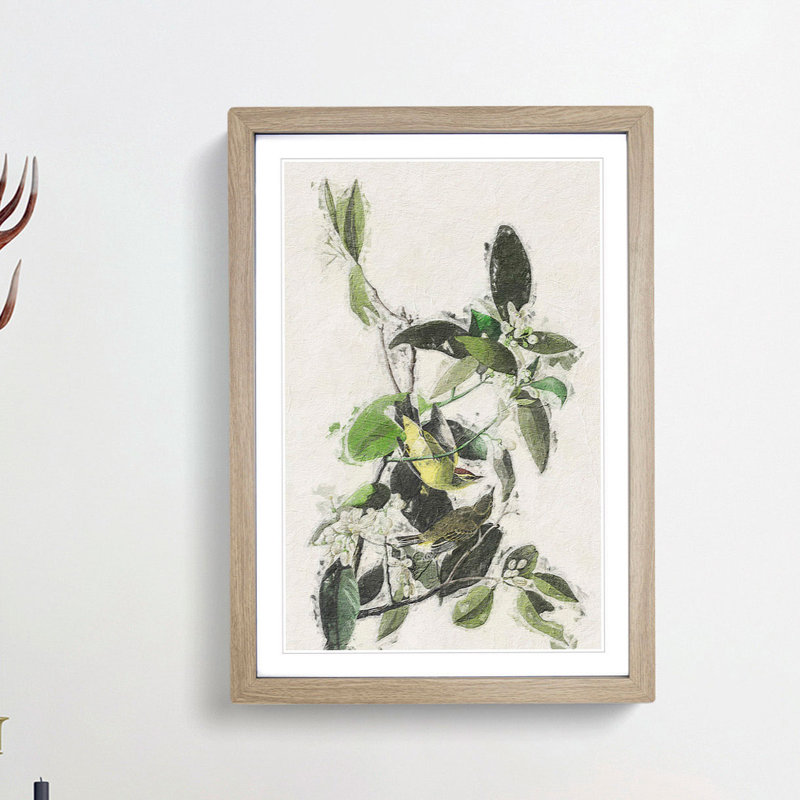 Palm Warbler by John Audubon - Framed Print, Oak Framed, 65cm H x 48cm W x 2cm D