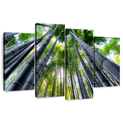 Alvord Bamboo Forest Sky Light