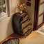Armoire décorative Artistic
