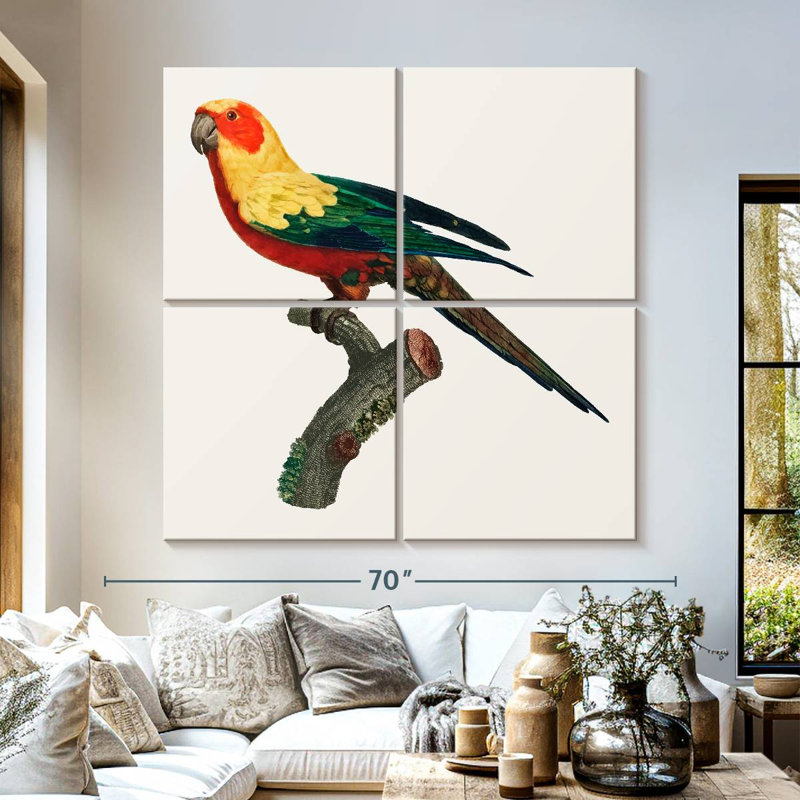 Brampt Sun Conure, 57" H x 57" W